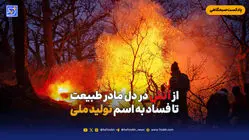 از آتش در دل مادر طبیعت تا فساد به اسم تولید ملی