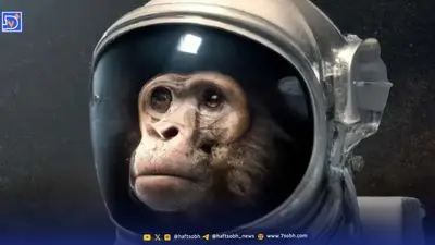 از چه زمانی چپ دست یا راست دست بودن ما تعیین می شود؟