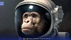 میمون فضانورد ایران پس از ۱۳ سال کجاست؟ | ویدئو