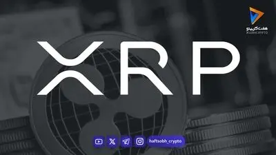 تحلیل تکنیکال و آنچین XRP؛ سناریوهای پیش‌روی ریپل در صورت شکست حمایت حیاتی