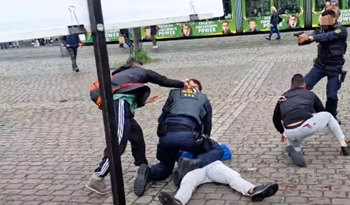 ویدئو | حمله وحشیانه یک فرد با سلاح سرد به پلیس آلمان (16+)