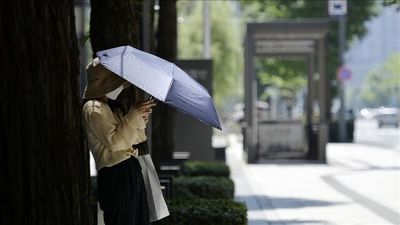 
قیمت طلای جهانی در قله ماندنی شد
