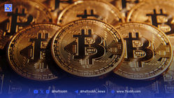 هجوم شرکت‌ها به بیت‌کوین: ثبت رکورد تاریخی خرید ۱۵۹ هزار بیت‌کوین در یک فصل