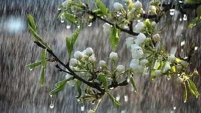 هواشناسی امروز ۲۸ مهرماه / هشدار بارندگی و رعدوبرق در چندین استان کشور