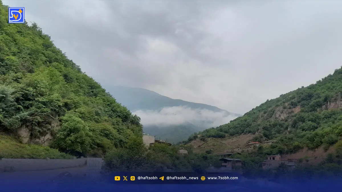 چراغ سبز منابع طبیعی گلستان به واگذاری جنگل؟