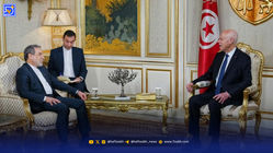 دیدار عراقچی با رئیس‌جمهور تونس+ ویدئو
