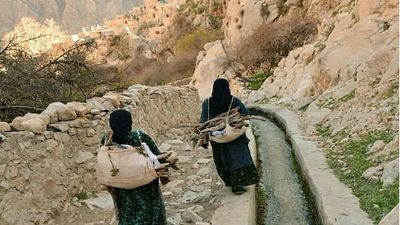 با این ۱۰ نکته ساده گیاهان آپارتمانی‌ تان را همیشه سبز نگه دارید
