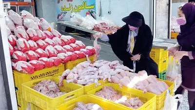 سقوط شدید قیمت مرغ امروز جمعه ۱۰ مهر ۱۴۰۵ / قیمت یک کیلوگرم مرغ گرم چند؟