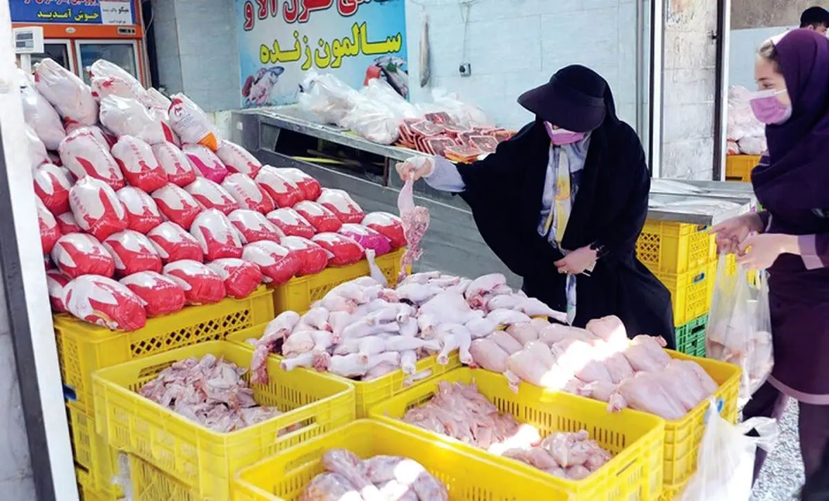 سقوط شدید قیمت مرغ امروز جمعه ۱۰ مهر ۱۴۰۵ / قیمت یک کیلوگرم مرغ گرم چند؟
