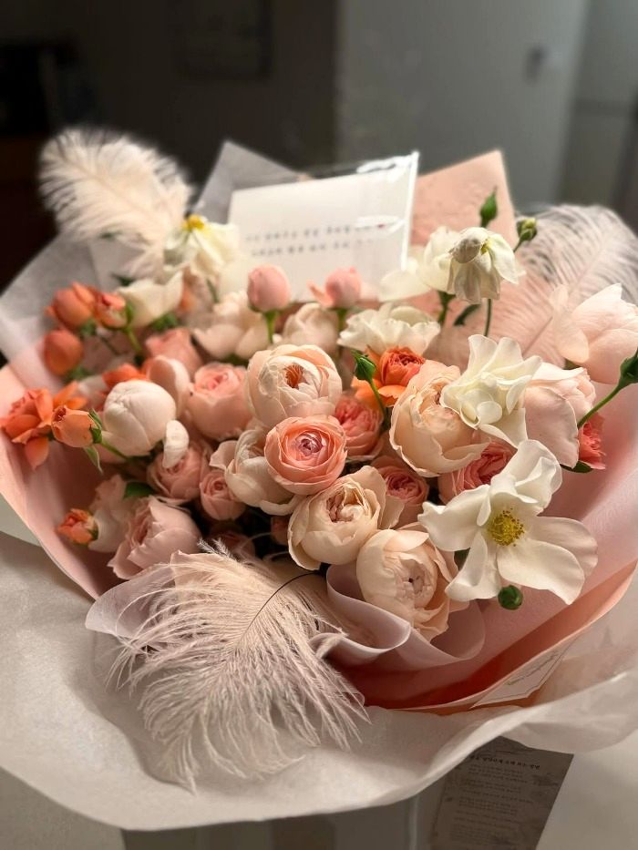 تولد سوسانو