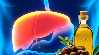 سرطان چیست؛ دیدگاهی که میتواند منجر به درمان این بیماری باشد