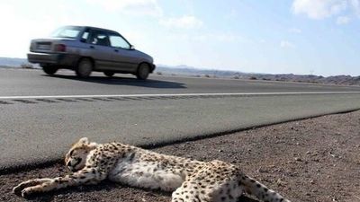 تصادف وحشتناک در جاده اندیمشک 2 کشته برجای گذاشت