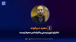 مصرف 90 میلیون لیتر آب مجازی برای غذادهی به سگ‌ها