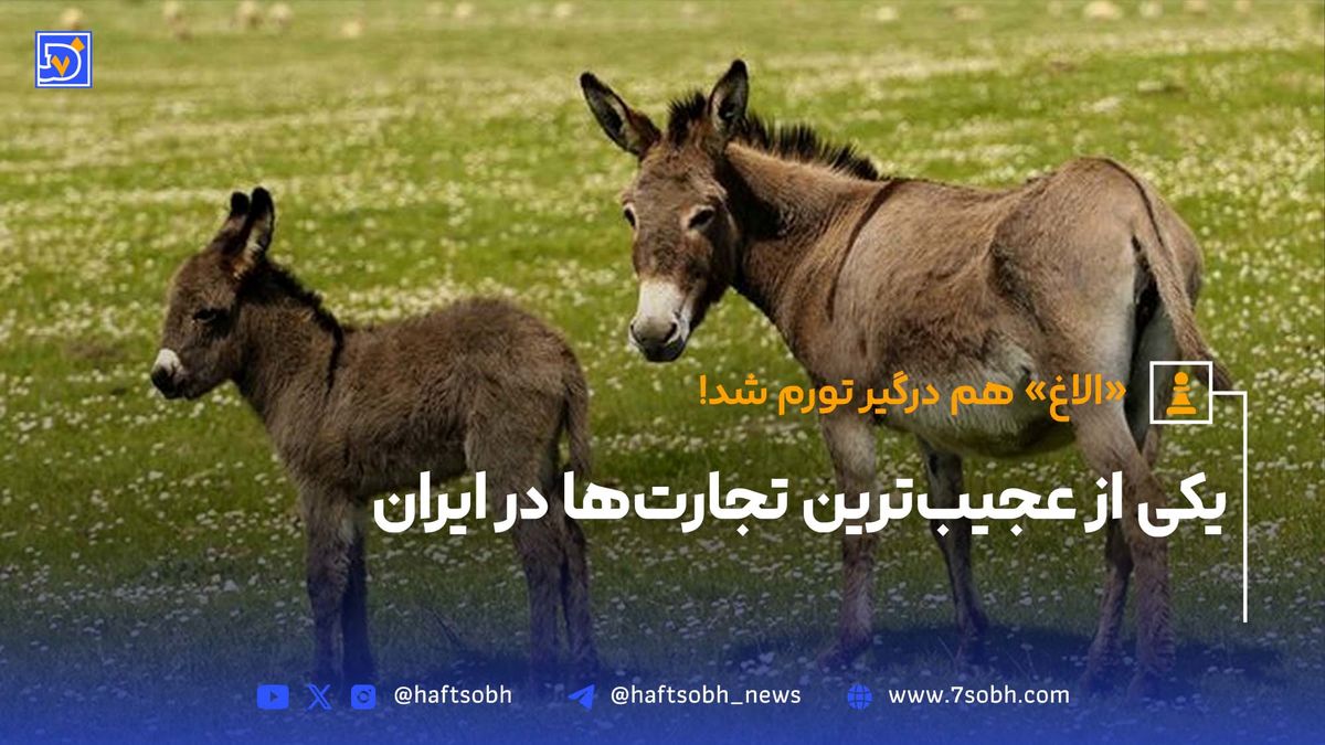 «الاغ» هم درگیر تورم شد!