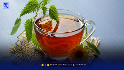 کبد چرب دارید، این مطلب را حتما بخوانید؛ راهکارهای طلایی برای جلوگیری از کبد چرب