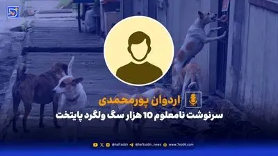 تشکیل صندوق مشترک خزر نا کام ماند