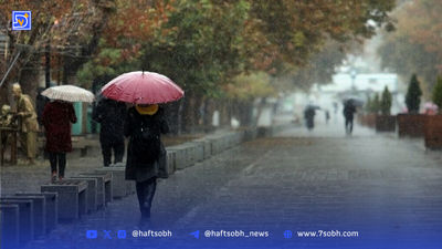 راز بوی باران؛ چرا بعضی‌ها پیش از بارش آن را احساس می‌کنند؟