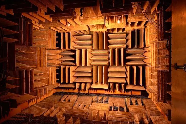 ساکت‌ترین نقطه زمین: جایی که صدای گردش خونت را می‌شنوی!