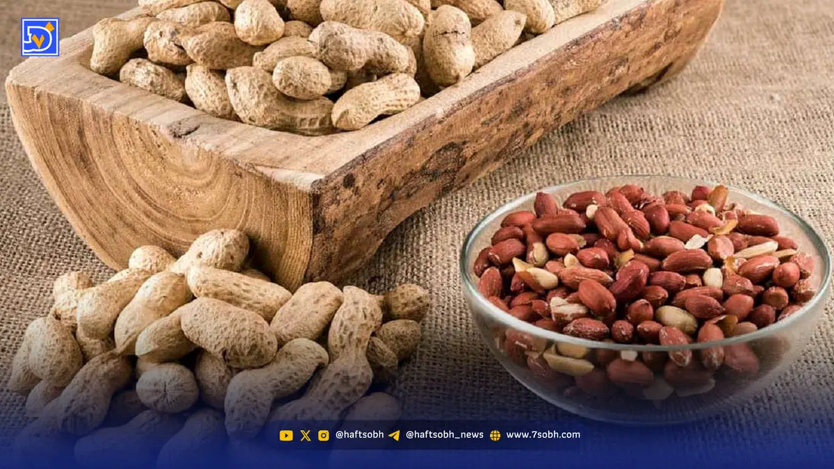 روایتی از قیمت، طعم و رازهای پنهان بادام زمینی