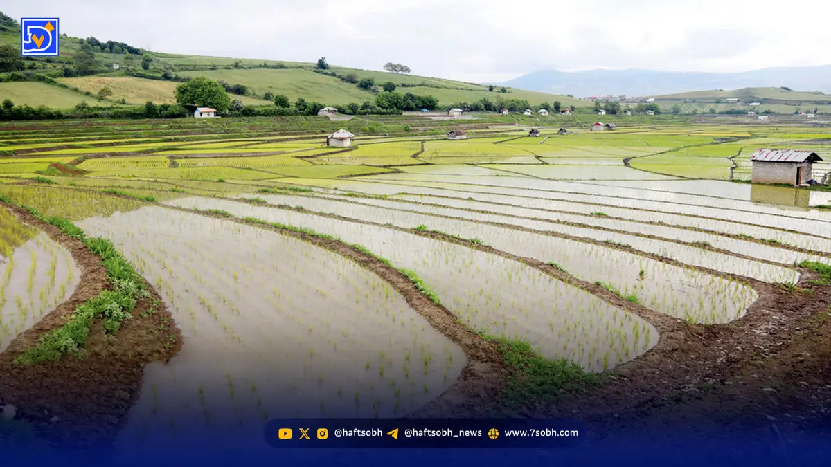 ایران تشنه تصمیم است | مقصر واقعی ورشکستگی آبی در کشور کیست؟