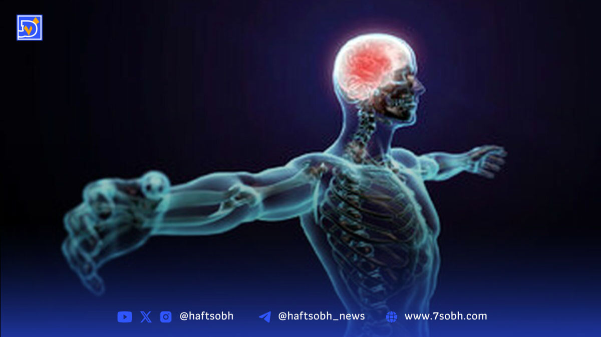 هزینه ساخت یک انسان ۷۰ کیلوگرمی؛ ۷۰ برابر مصرف برق جهان!