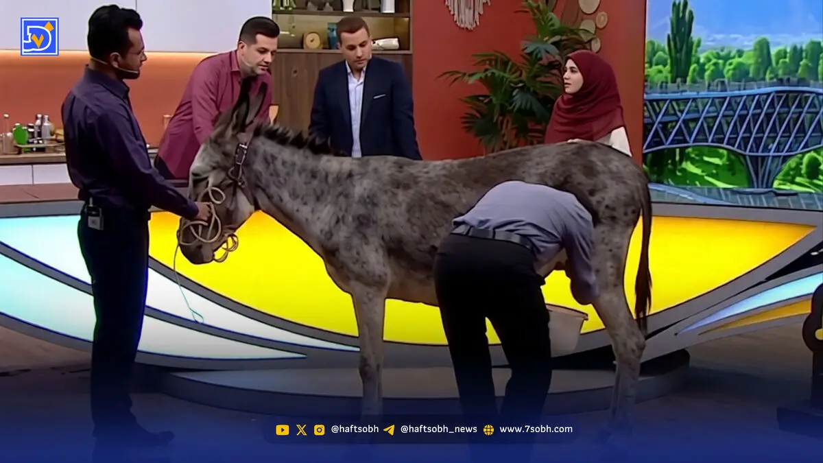 قاب امروز | این همه بودجه میلیاردی برای آوردن اسب و الاغ