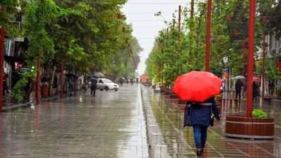  دستگیری قاتل فراری نزاع هفت باغ کرمان دستگیر شد 