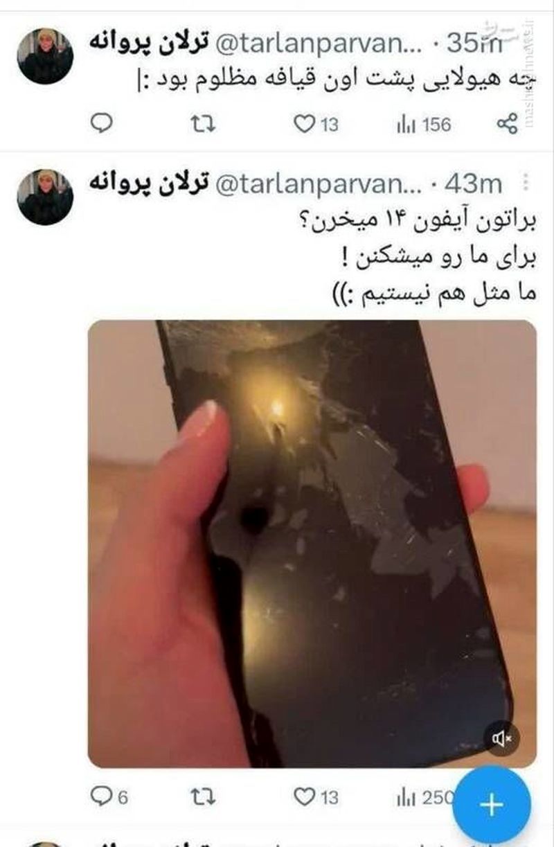 شروین حاجی‌پور متهم به تعرض به ترلان پروانه شد!