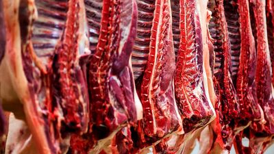 قیمت گوشت قرمز امروز دوشنبه 19 آبان 1404