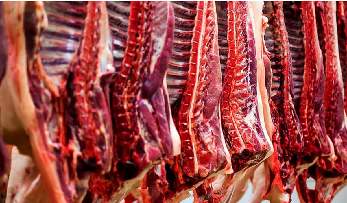 قیمت گوشت قرمز امروز ۱۸ آبان 1404 + جدول