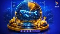 نهنگ‌های بیت کوین ماه‌ها قبل رشد زی‌کش را پیش‌بینی کرده بودند؟ 