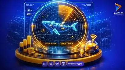  نهنگ‌های بیت کوین ماه‌ها قبل رشد زی‌کش را پیش‌بینی کرده بودند؟ 