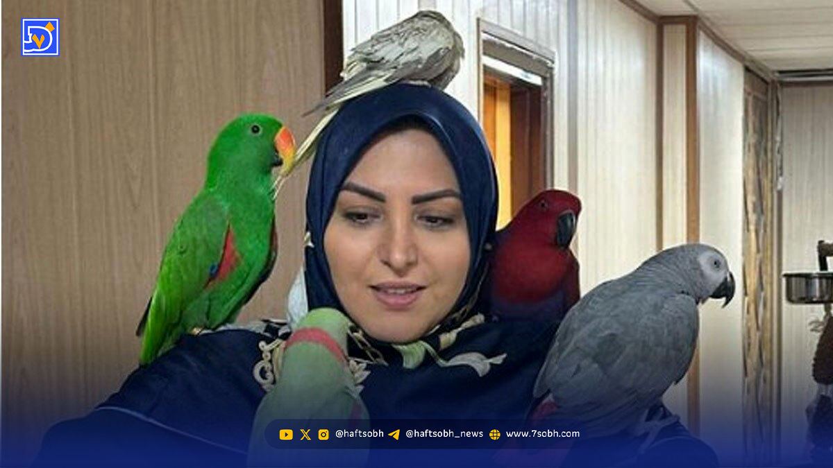 تیپ مجلسی و جذاب المیرا شریفی‌مقدم