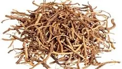 کاهش طبیعی دردهای پس از زایمان با «سنبل‌الطیب»