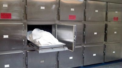 عموی مقتول: من قاتل برادرزاده‌ام نیستم | سکانس پایانی محاکمه باند جنایت با سم مار 
