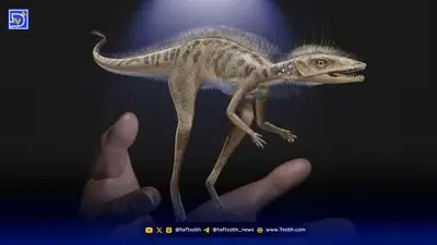 قدیمی‌ترین سکونت‌گاه بشر در آمریکای جنوبی کشف شد