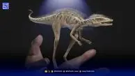 کشف دایناسوری کوچک به اندازه یک گربه خانگی!