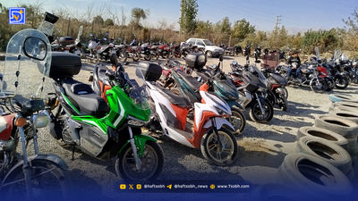 قاب امروز|‌‌ عضلات علیرضا، فتوشوت‌های جدید لاله، عکس‌های خاص ‌فاطمه و صدف و سارا