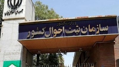 کدام نام‌های خانوادگی در ایران پرطرفدار هستند؟