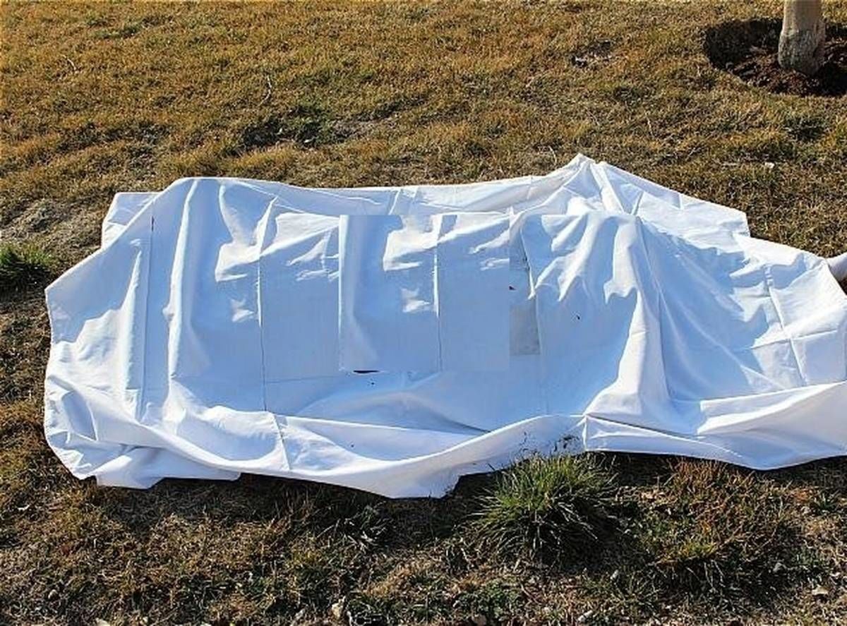 جنایت هولناک در مشهد؛ جسد مثلهشده در سطل زباله پیدا شد