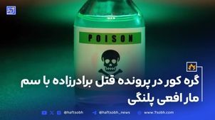 گره کور در پرونده قتل برادرزاده با سم مار افعی پلنگی