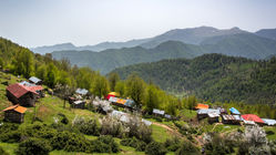بی آبی دامن رشت را هم گرفت