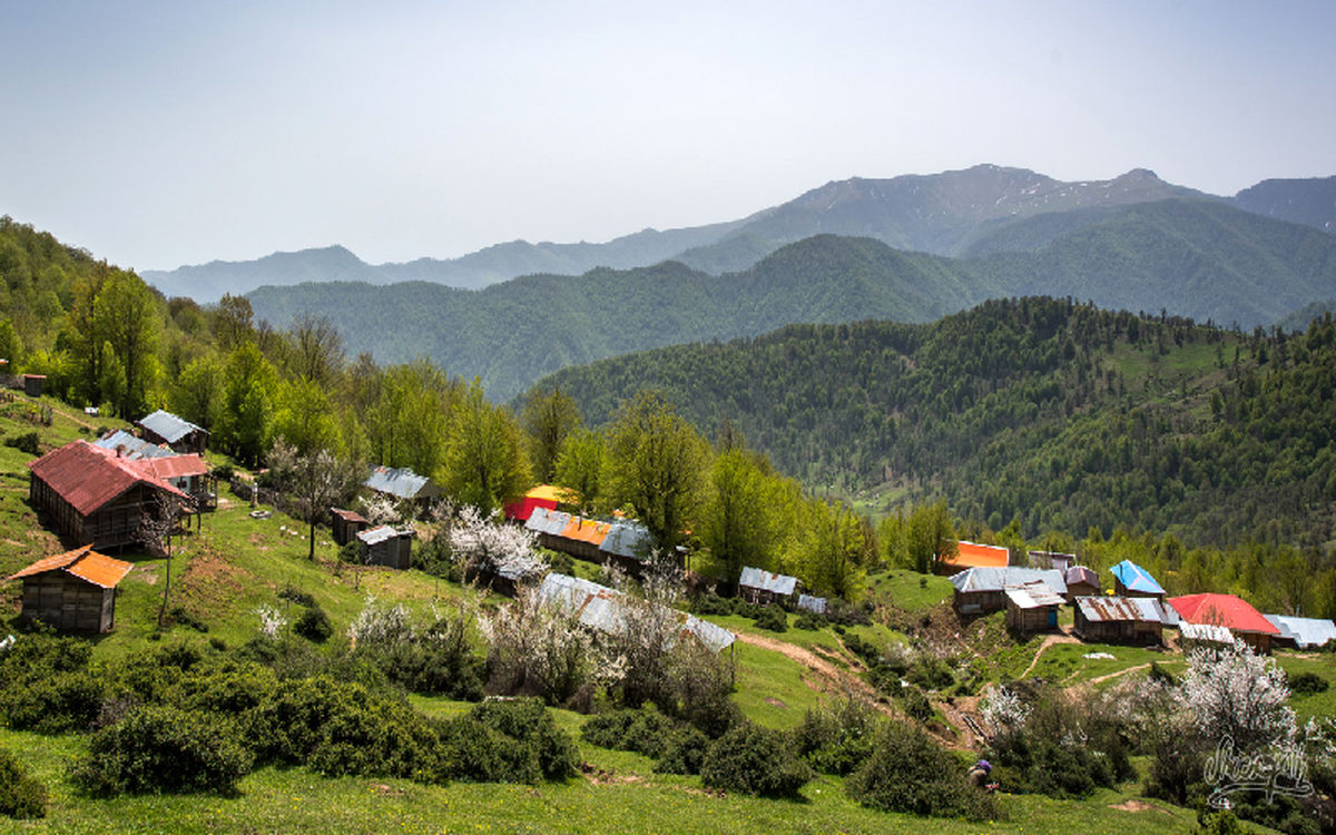 بی آبی دامن رشت را هم گرفت