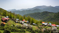 بی آبی دامن رشت را هم گرفت