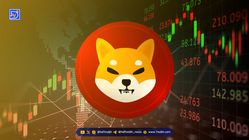 شیبا اینو (SHIB) در مسیر ثبت رکورد جدید؟