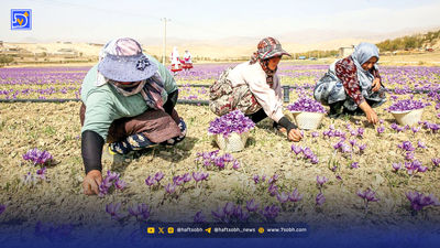 زعفران یا طلای سرخ؟ خریداران به بستههای کوچکتر روی میآورند