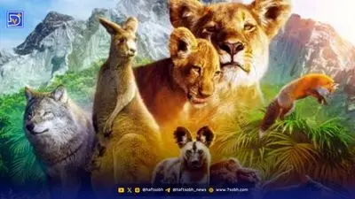 کشف قاره‌ای گمشده که ۱۵۵ میلیون سال زیر آب پنهان بود!