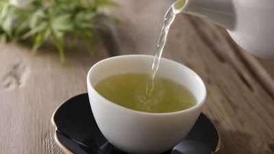  سلفی بازیگر سریال شغال در کنار سحر دولتشاهی 