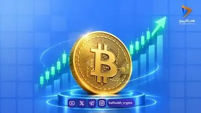 چرا نگهداری هر ارزی جز بیت‌کوین در دو سال گذشته یک استراتژی بازنده بوده است؟