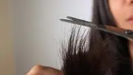 چطوری از شر موخوره خلاص شویم؟